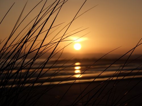 Local Area Camber sands sunset